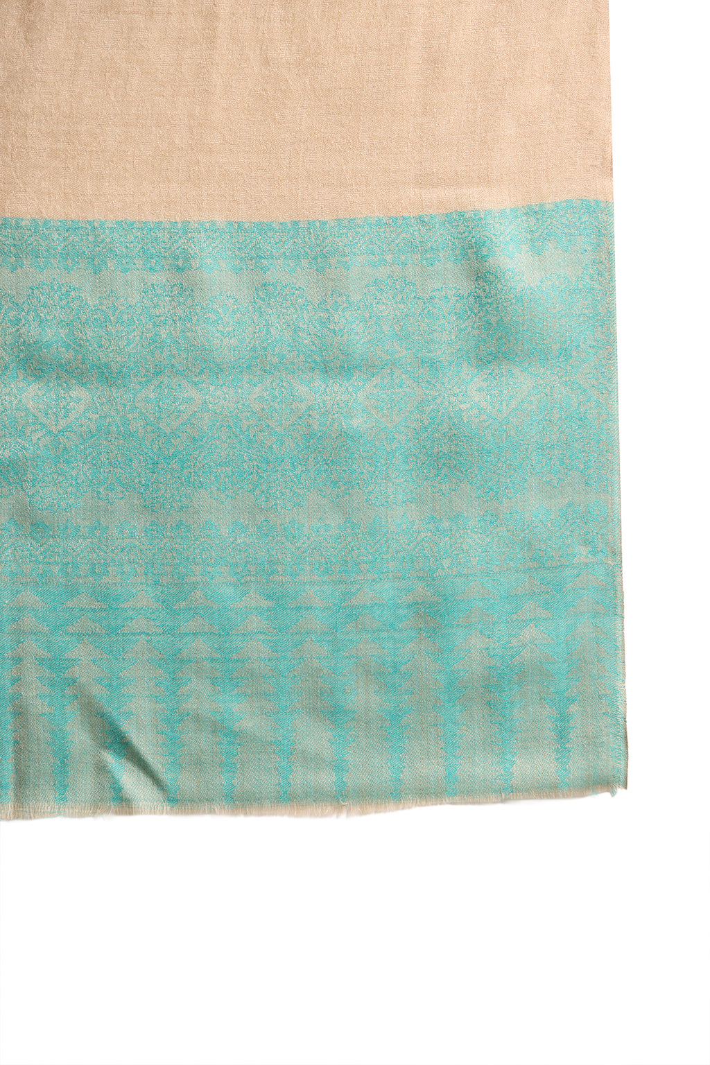 Beige Fine Wool Pashmina Shawl with Turquoise Border