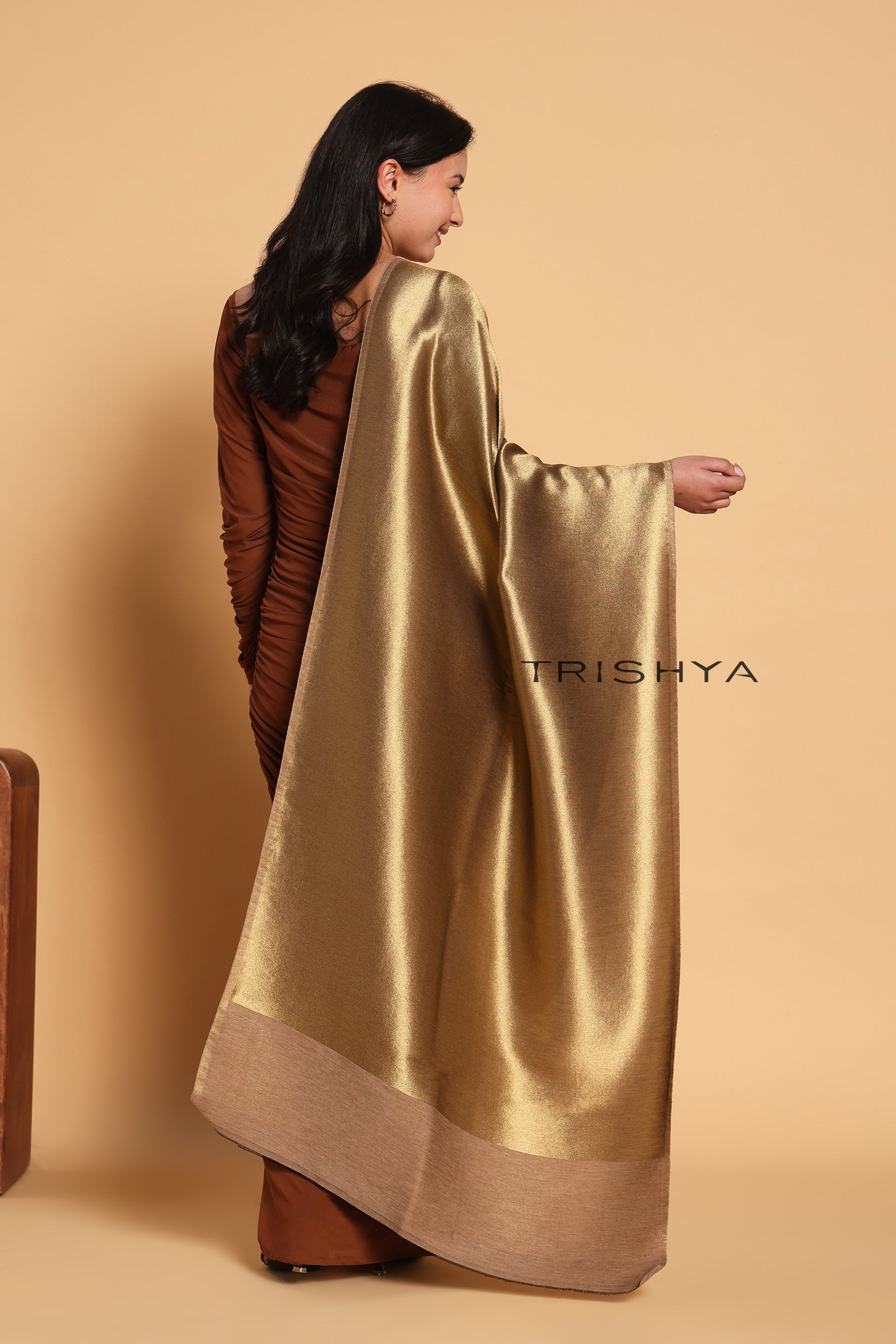 Noor-e-Zari Twilight Reversible Stole in Beige